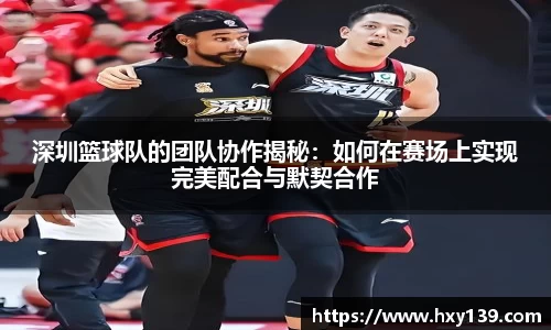 深圳篮球队的团队协作揭秘：如何在赛场上实现完美配合与默契合作